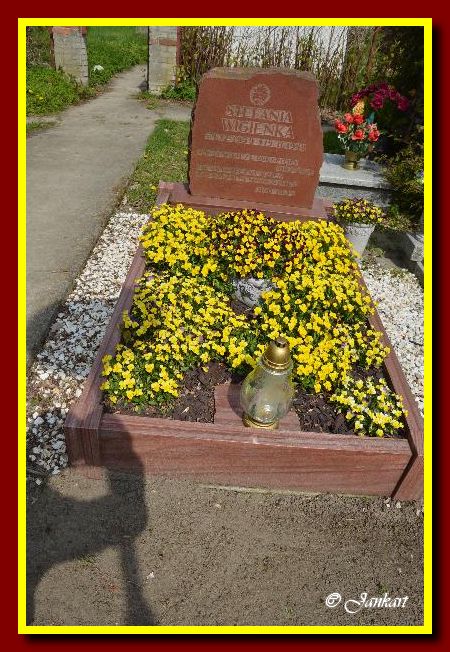 Wigienka S.